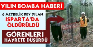 6 METRELİK DEV YILAN