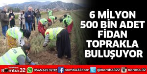 6 MİLYON 500 BİN ADET FİDAN TOPRAKLA BULUŞUYOR
