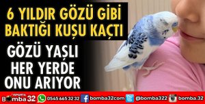 6 YILDIR GÖZÜ GİBİ BAKTIĞI KUŞU KAÇTI