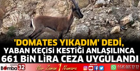 661 Bin Lira Ceza Uygulandı