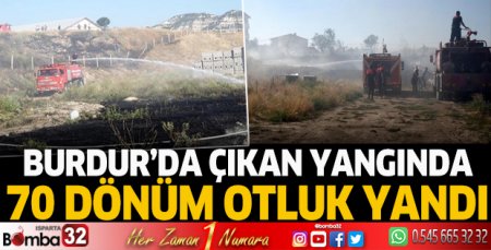 70 dönüm otluk yandı
