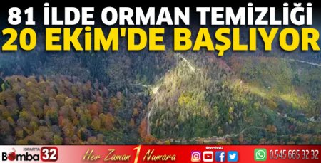 81 ilde orman temizliği