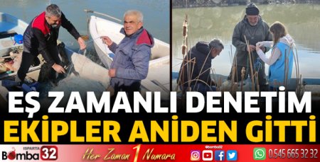 ​Eş zamanlı denetim