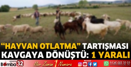 '‘Hayvan otlatma” tartışması kavgaya dönüştü: 1 yaralı 