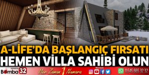 A-LİFE yükseliyor