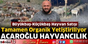 Acaroğlu Hayvancılık büyükbaş ve küçükbaş yetiştiriciliği