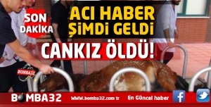 ACI HABER  CANKIZ HAYATINI KAYBETTİ 