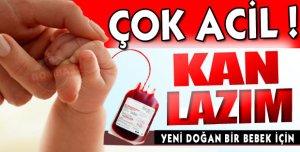 Acil Kan Aranıyor