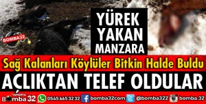 AÇLIKTAN ÖLDÜLER