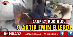 ADINI CANKIZ KOYDULAR, HASTANE KABUL ETTİ İŞTE DETAYLAR 