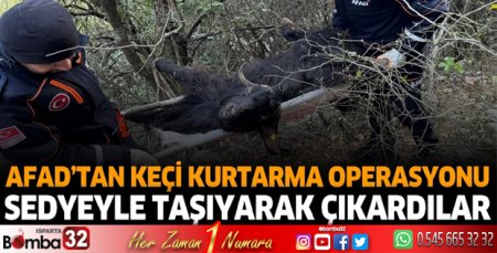 AFAD'dan keçi kurtarma operasyonu
