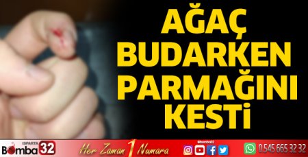 Ağaç budarken parmağını kesti