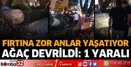 Ağaç devrildi: 1 yaralı