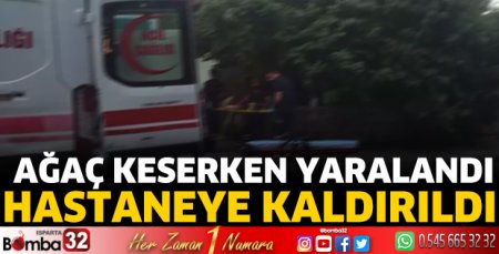 Ağaç keserken yaralandı hastaneye kaldırıldı