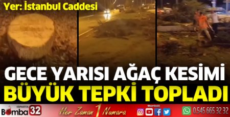 Ağaç kesimi tepki topladı