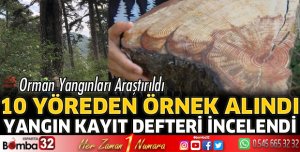 Ağaç kütüklerindeki yaraları inceleyerek orman yangınlarını araştırdılar