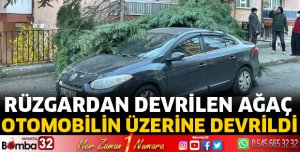 Ağaç otomobilin üzerine devrildi