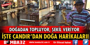 AĞAÇ SANATINI FARKLI BİR BOYUTA TAŞIDI