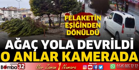 Ağaç yola devrildi