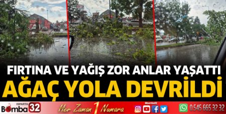Ağaç yola devrildi