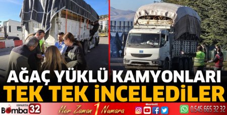 Ağaç yüklü kamyonları tek tek incelediler