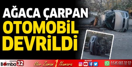 Ağaca çarpan otomobil devrildi