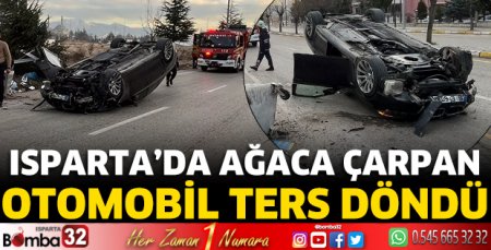Ağaca çarpan otomobil ters döndü 