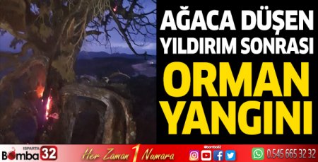 Ağaca düşen yıldırım sonrası orman yangını