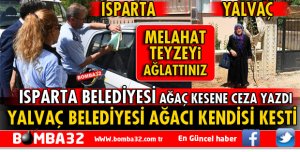 AĞACINI KESTİLER MELAHAT TEYZEYİ AĞLATTILAR