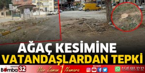 Ağaçlar kesimine vatandaştan tepki