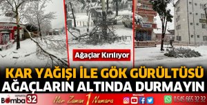 Ağaçların altında durmayın uyarısı