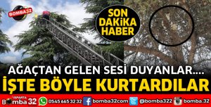 AĞAÇTA MAHSUR KALAN KEDİ KURTARILDI