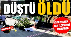 Ağaçtan düştü öldü