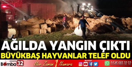 Ağılda yangın çıktı: 3 büyükbaş telef oldu