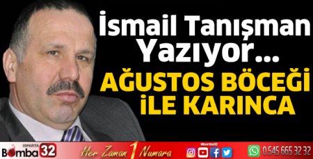 Ağustos Böceği ile karınca