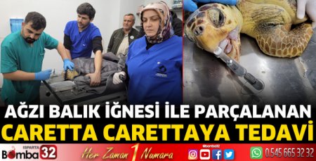 Ağzı balık iğnesi ile parçalanan caretta carettaya tedavi