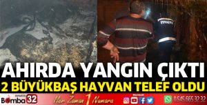 Ahır yangınında 2 büyükbaş hayvan öldü