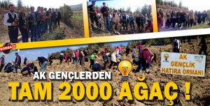 AK GENÇLER 2000 AĞAÇ DİKTİ 