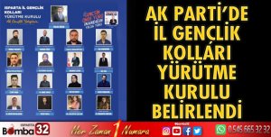 AK gençlerde görev dağılımı