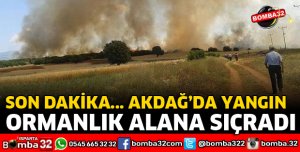AKDAĞ'DA YANGIN