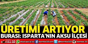 Aksu ilçesindeki yayla çileği üretimi artıyor