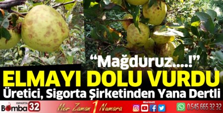 Aksu’da elmayı dolu vurdu