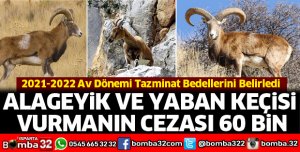 Alageyik ve Yaban Keçisi vurmanın cezası 60 Bin