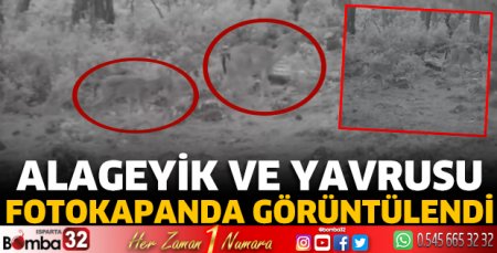 Alageyik ve yavrusu fotokapanda görüntülendi