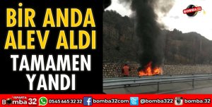 ALEV ALEV YANDI