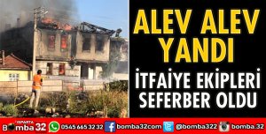 ALEV ALEV YANDI