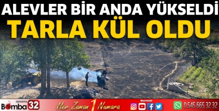 Alevler bir anda yükseldi tarla kül oldu 