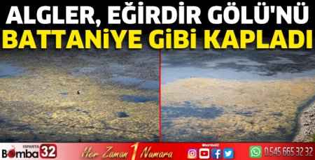 Algler, Eğirdir Gölü'nü battaniye gibi kapladı