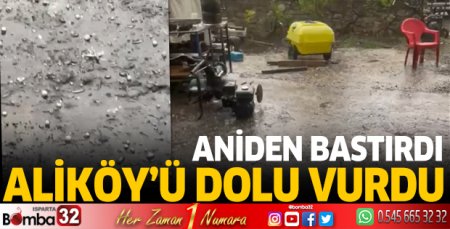 Aliköyü dolu vurdu