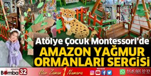 Amazon Yağmur Ormanları Sergisi 